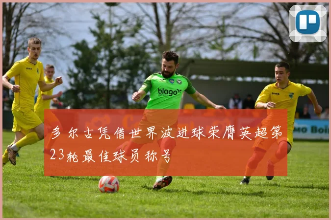 多尔古凭借世界波进球荣膺英超第23轮最佳球员称号