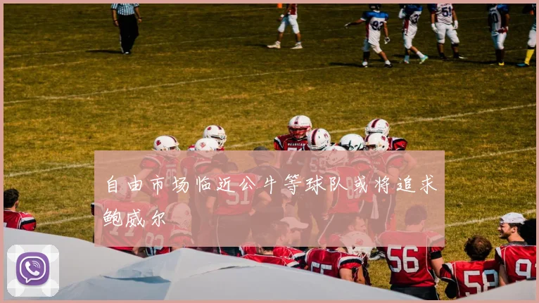 自由市场临近公牛等球队或将追求鲍威尔